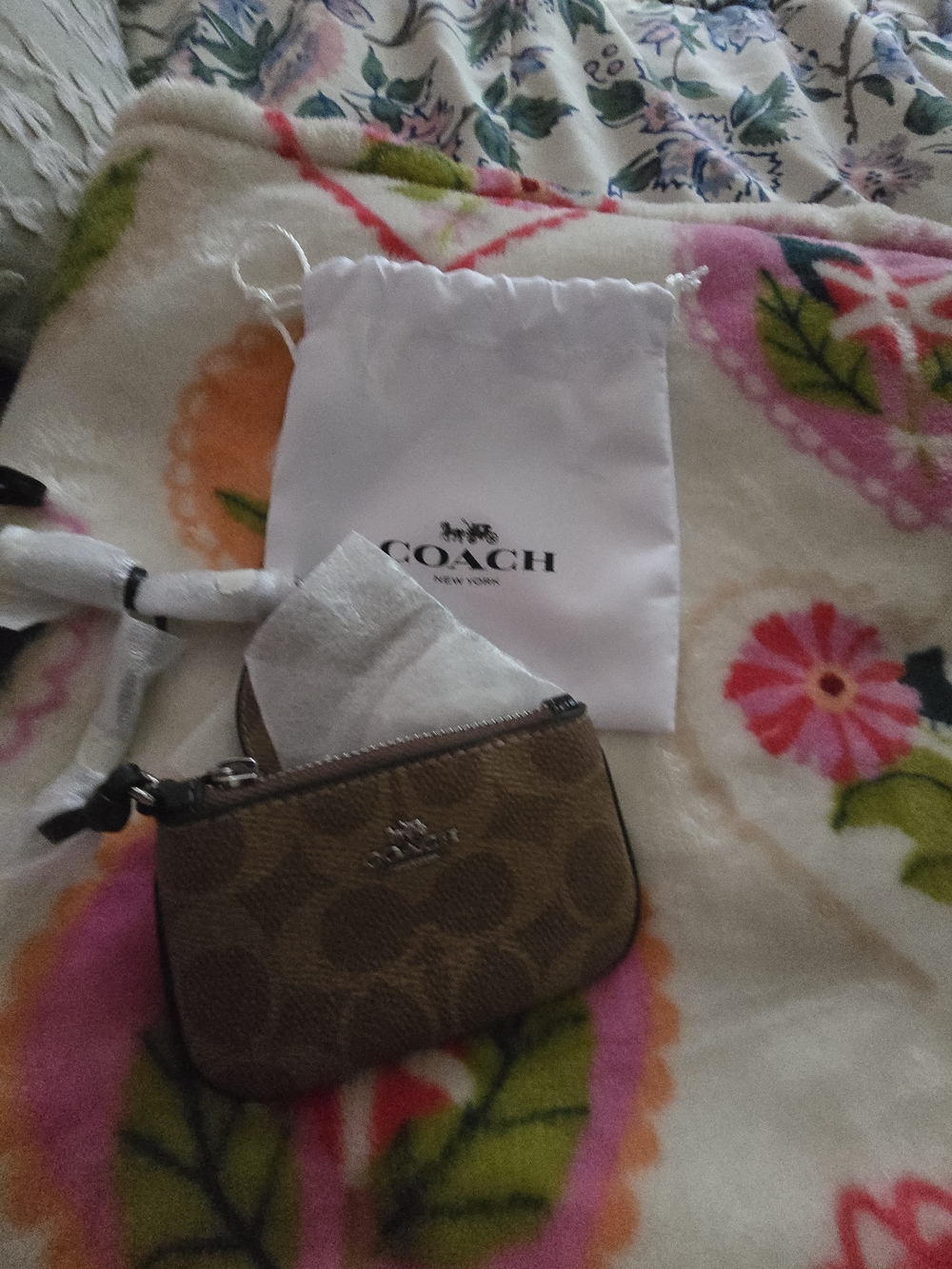 COACH Brown Signature Small Zip Pouch